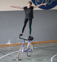 Frontlenkerstand, Frontlenkerstanddrehung (T)